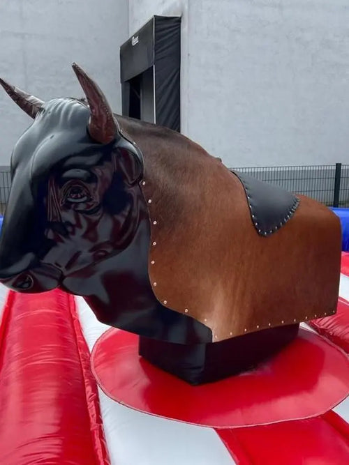Bullriding Anlage inkl. Sturzmatte und Steuerpult gcimport.ch