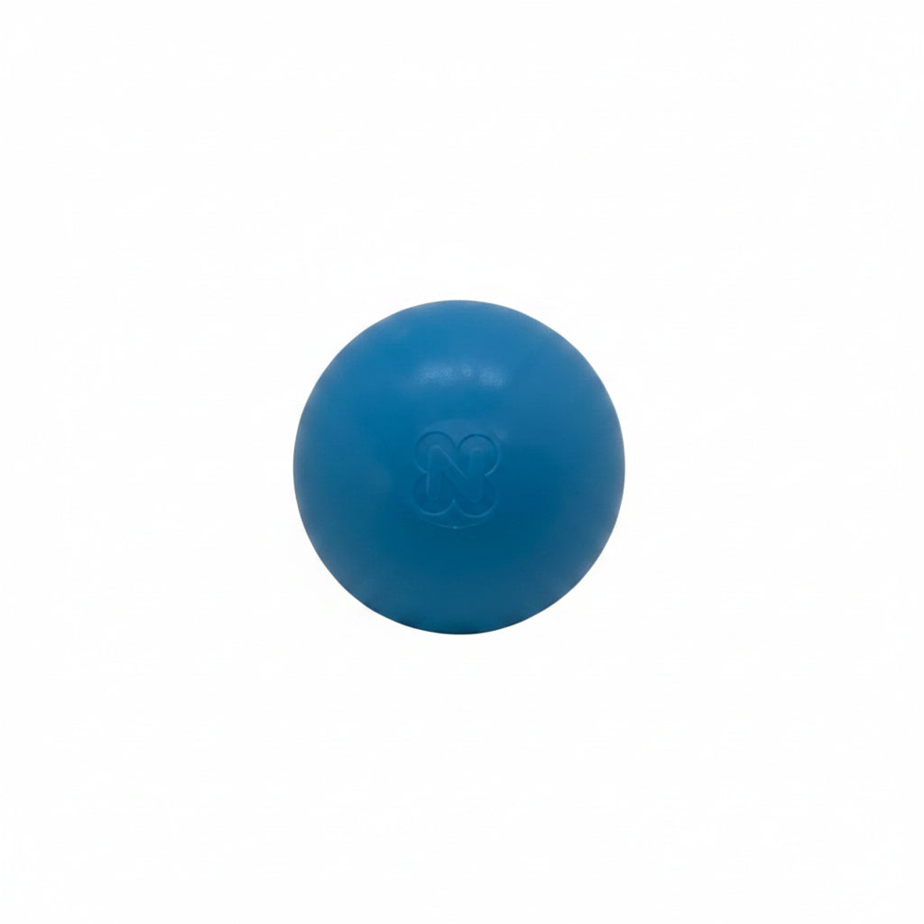 Kickerball PRO Blau