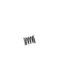 Roberto Sport ressort standard 40x18mm INOX