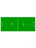 Spielfeldfolie Roberto Sport 226x70cm