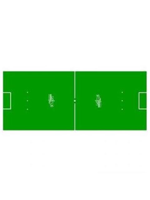 Spielfeldfolie Roberto Sport 226x70cm