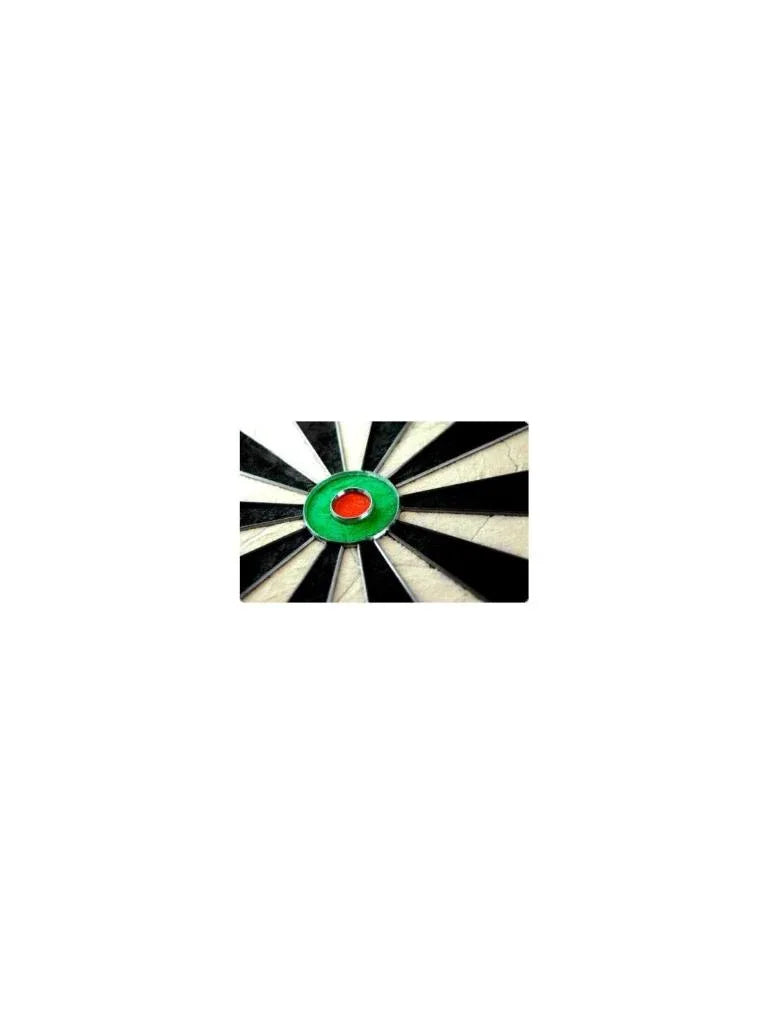 Steeldartscheibe Winmau Blade 5