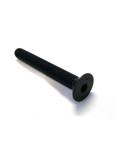 Schrauben M10 L. 80 mm